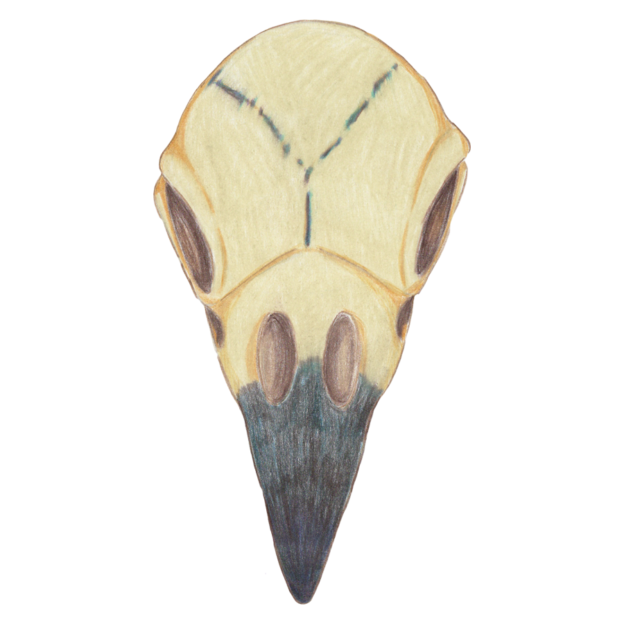 "Raven Skull" Sticker