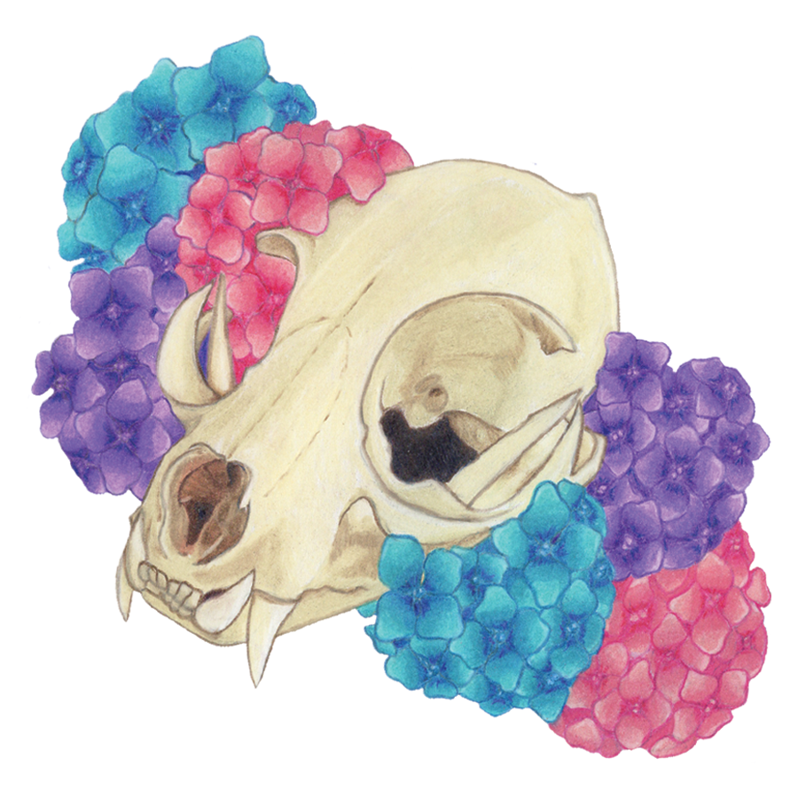 "Hydrangea Cat Skull" Sticker